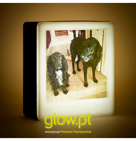 Mini Photo Light Box